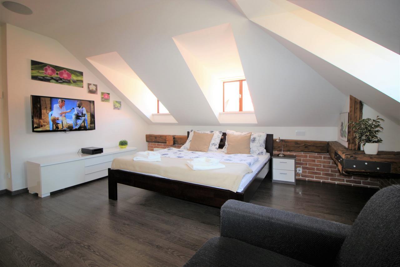Agnes - Appartement Praag